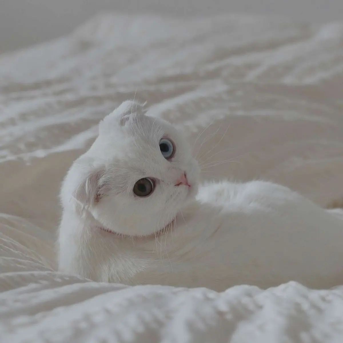 ShyPool8222의 혐오하는 파트너