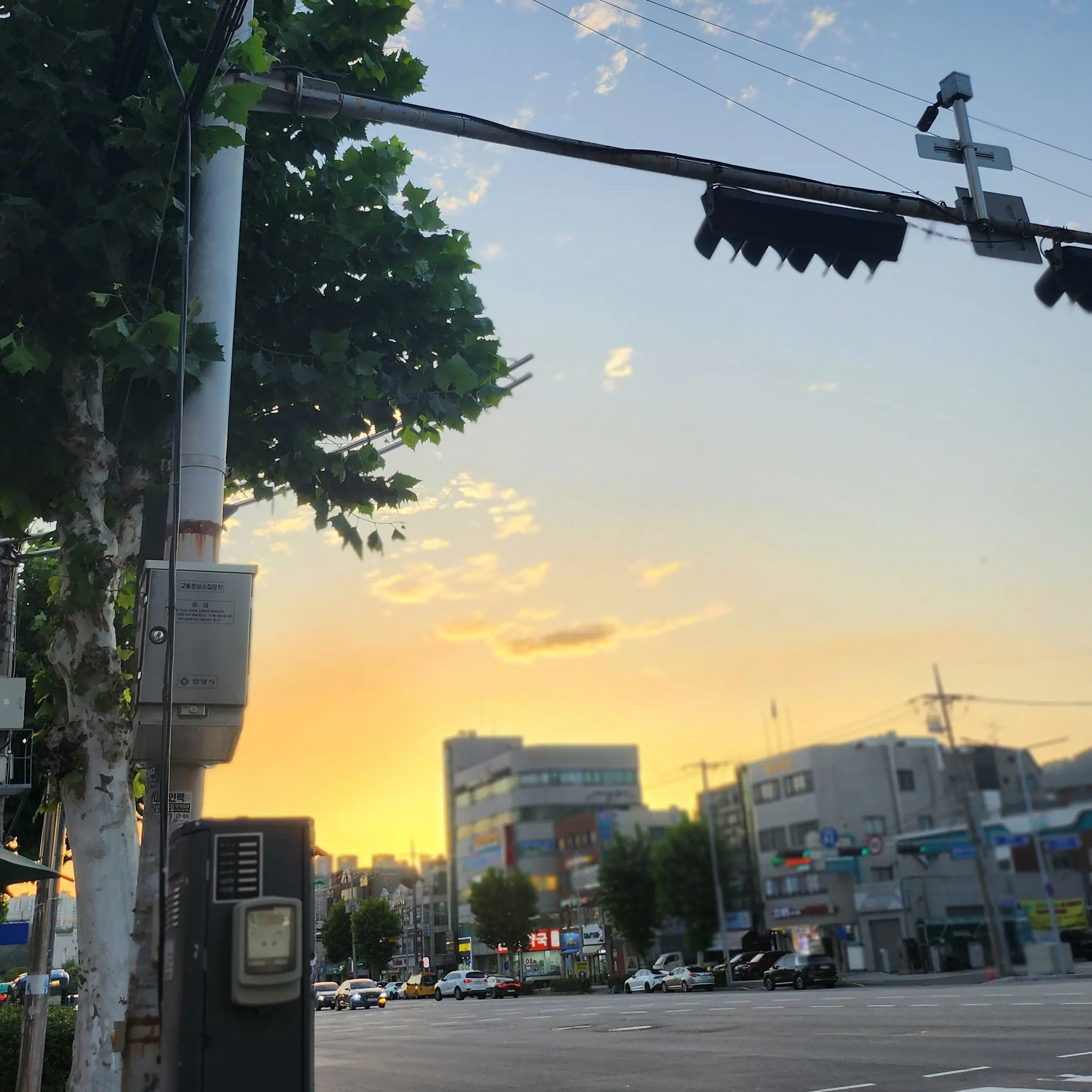 Taehyun_fan의 친오빠 ㄱㅌㅎ