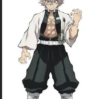 Profile image of Sanemi