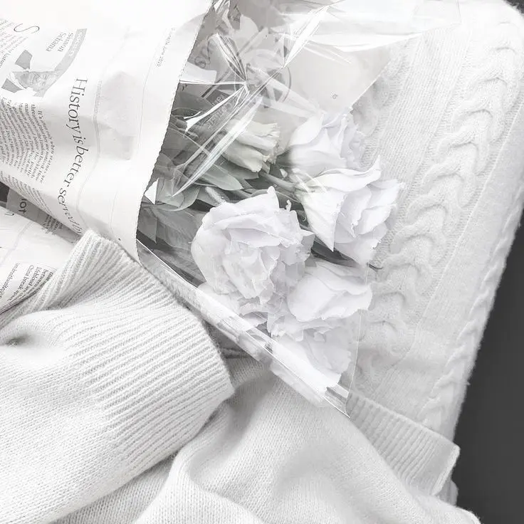 PinkBrug1666의 늦잠