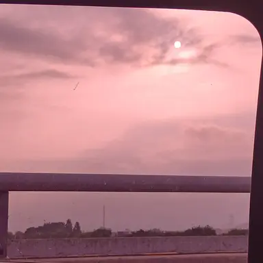 Profile image of 일진