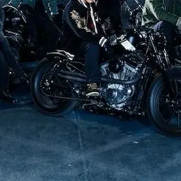 Profile image of コブラ