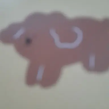 Profile image of 준브레드