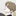 최 서 준