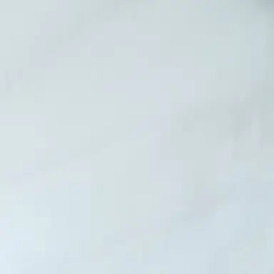 Profile image of 최애라
