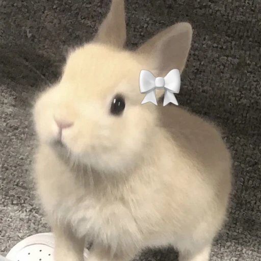 이민호
