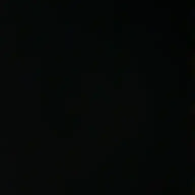 Profile image of 나화진