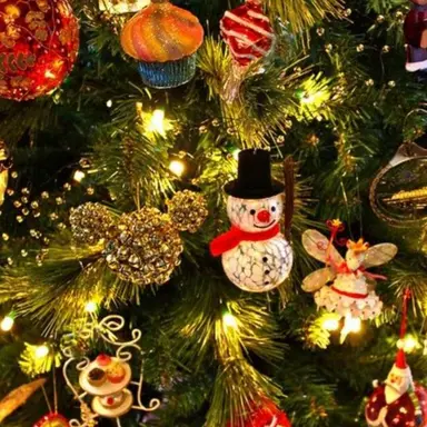 Profile image of 패스