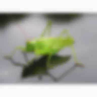 Profile image of 타블로