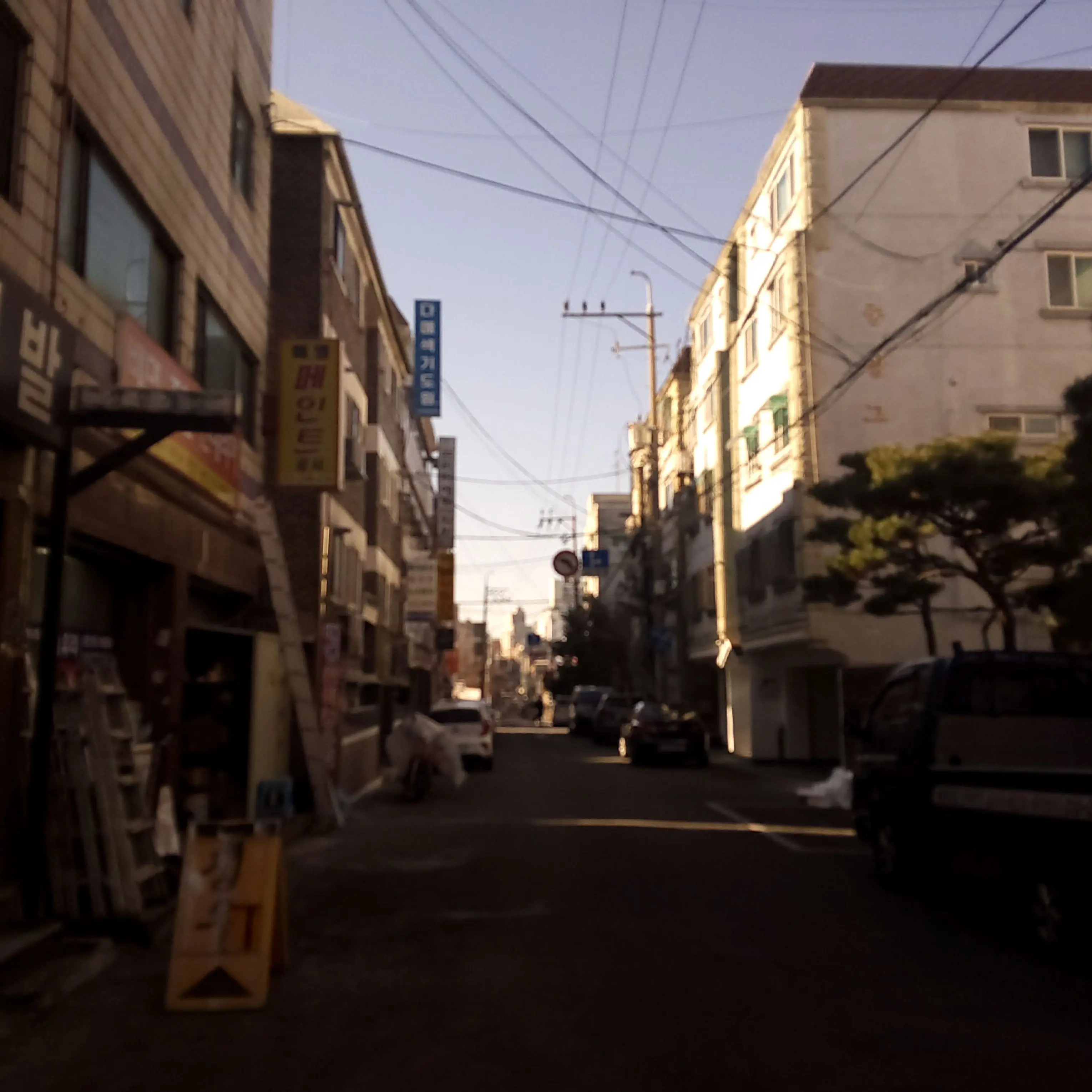 mosiggang의 리오넬 메시