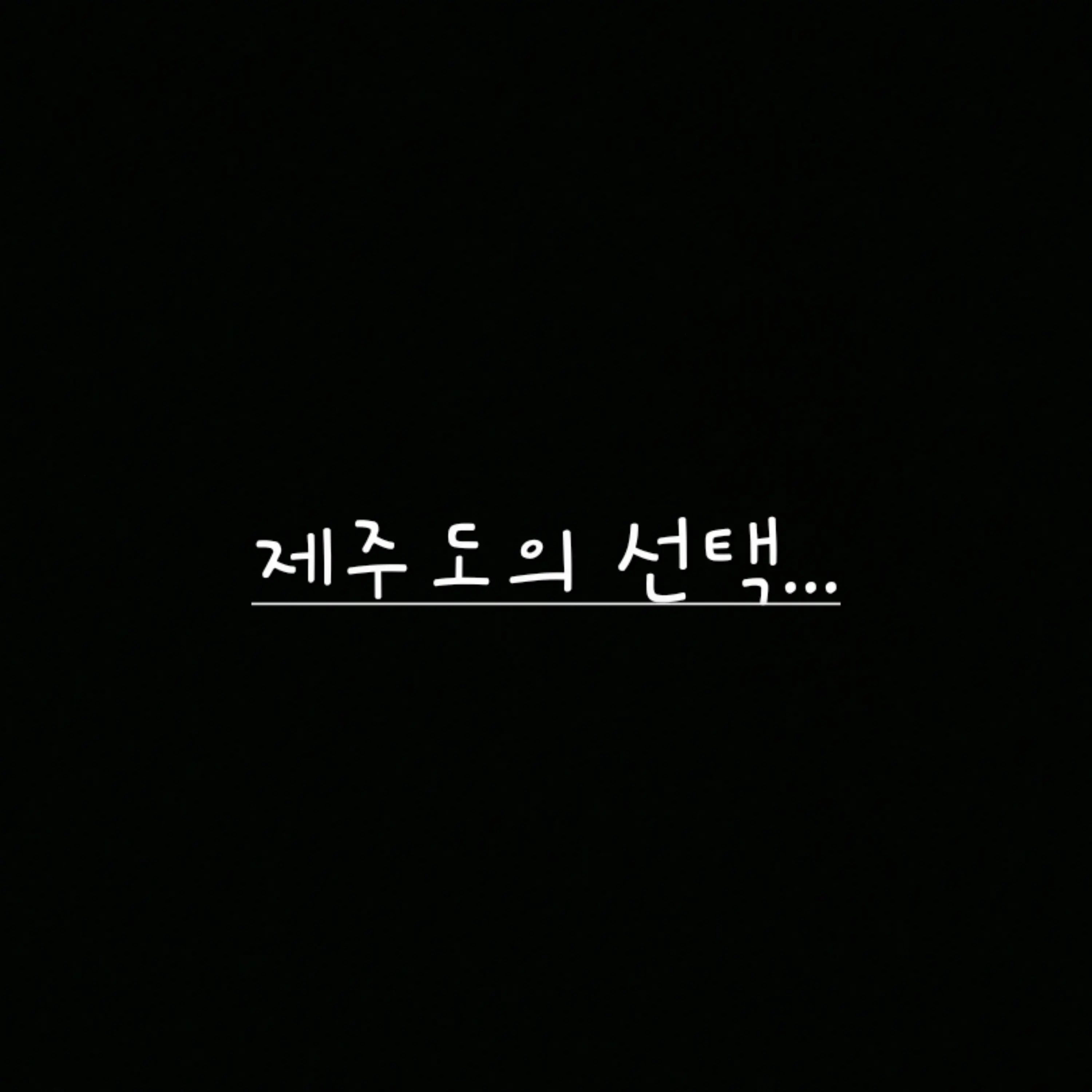 Freesky의 제주도의 선택...