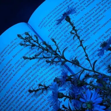 Profile image of 박잠뜰