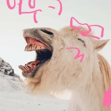 Profile image of 김말차