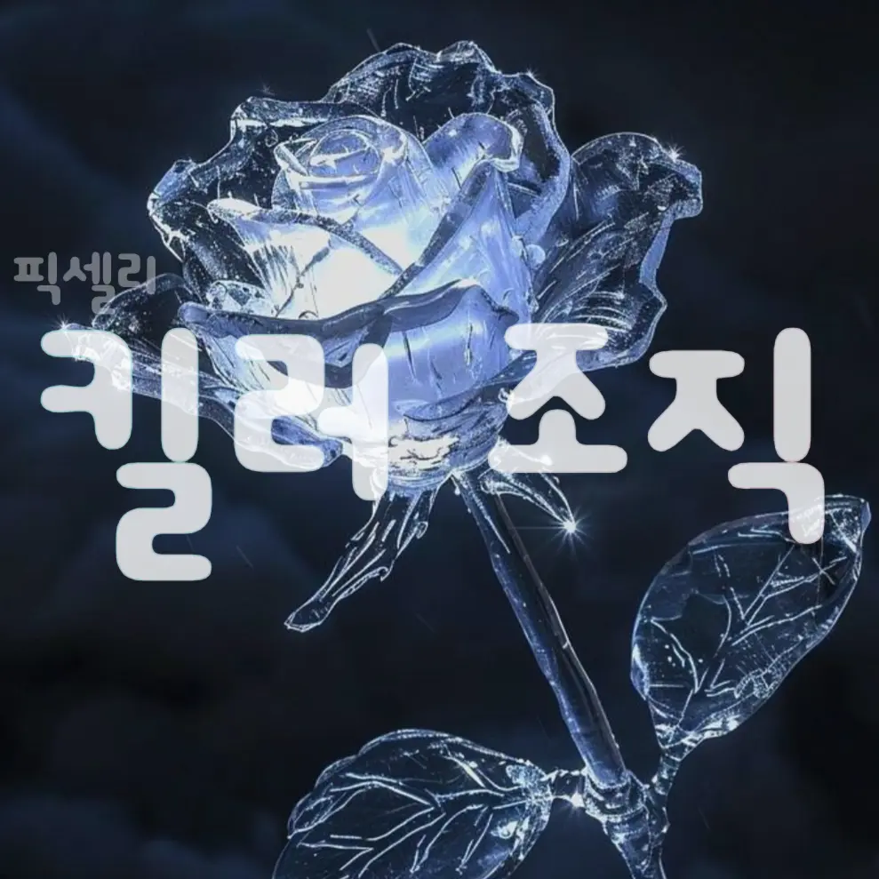 lllooorry의 픽셀리 킬러 조직