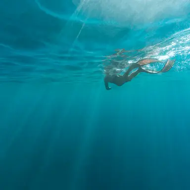 Profile image of 준브레드