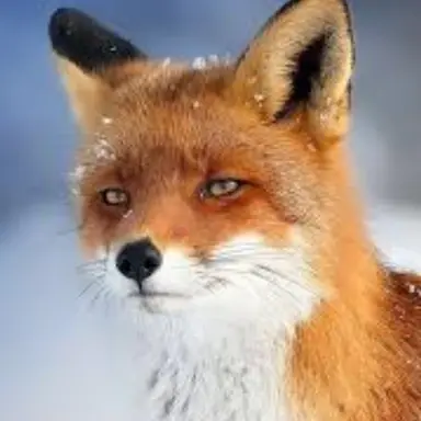 Profile image of 타케나 히메루