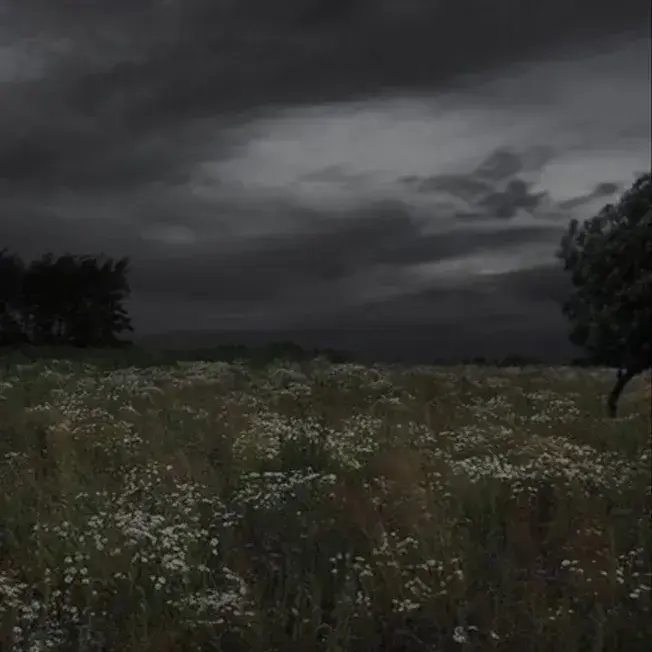 BentTorch7674의 Your Story