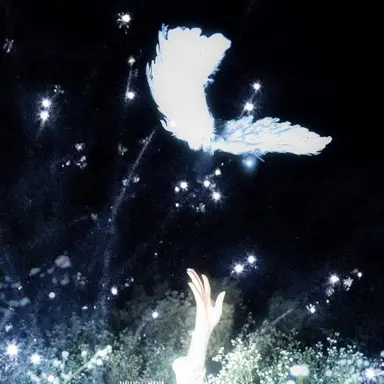 Profile image of 파이브