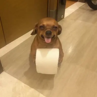 Profile image of 이경민