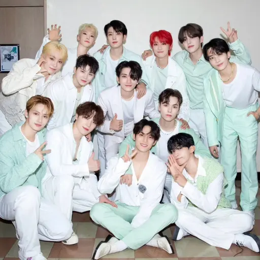 LovingPeak9803의 세븐틴