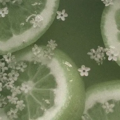 Profile image of uyuchamchi