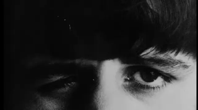 Profile image of Ringo