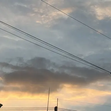 Profile image of 悠仁