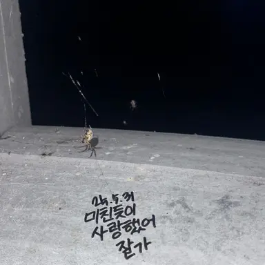 Profile image of 카 운터