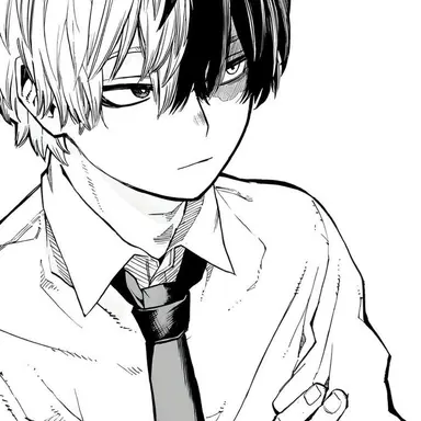 Profile image of Shoto Todoroki