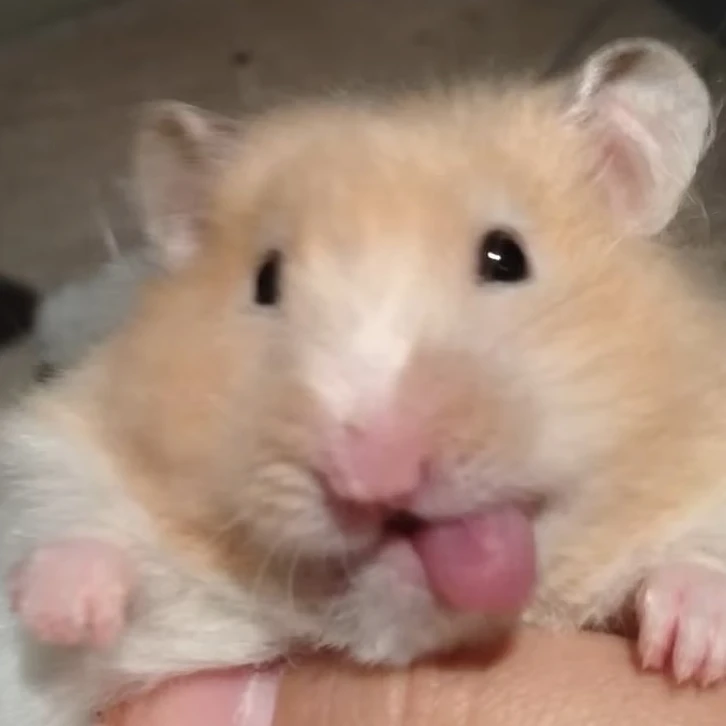 백우혁