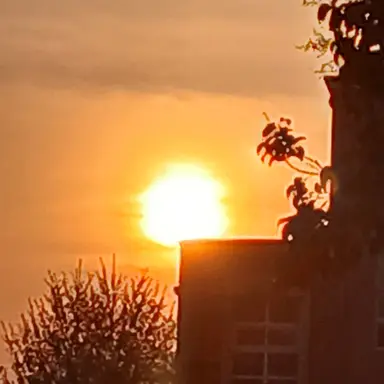 Profile image of 각별