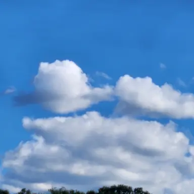 Profile image of 모찌엘