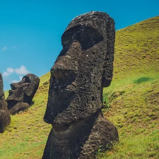 모아이🗿