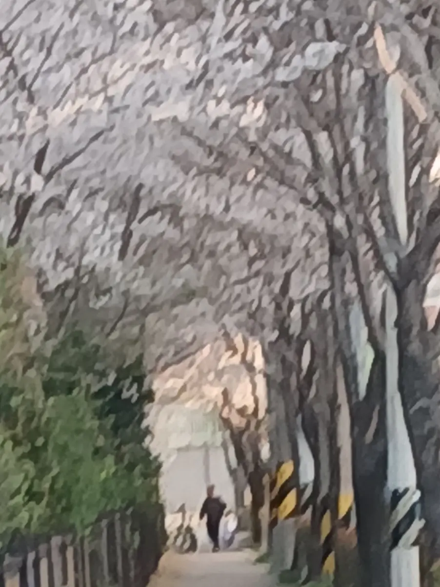 IloveyouWriters의 우리의 봄날은..