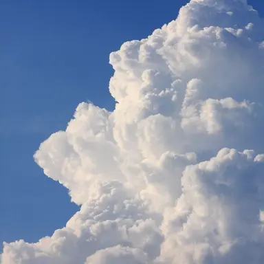 Profile image of ツル