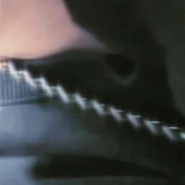 廉