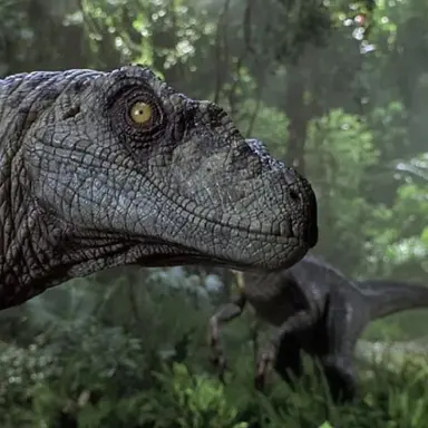 Profile image of 랩터무리