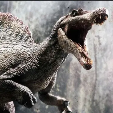 Profile image of 스녹