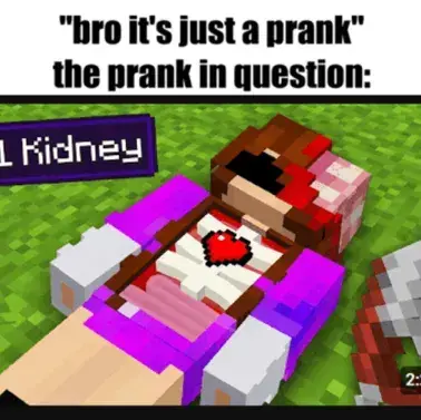 RancidSloth6332의 DONI BOBES SMP