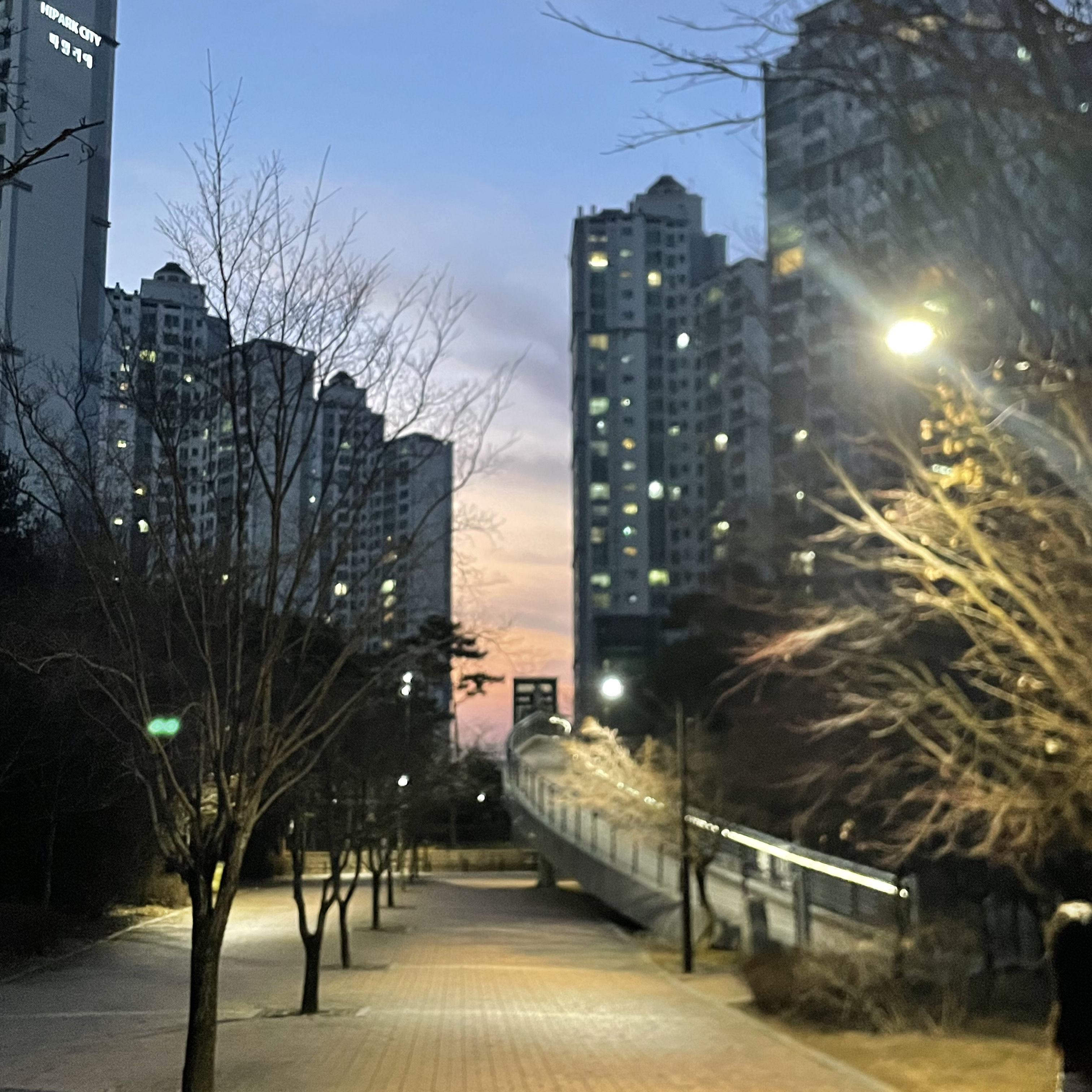 강아지 연하남들 대표 이미지