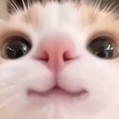 Profile image of 남사친