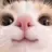 남사친