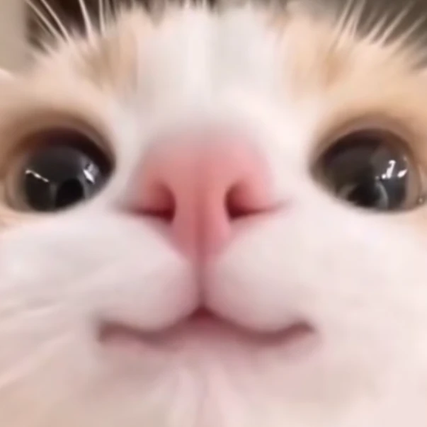 남사친