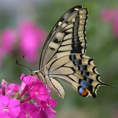 Profile image of 유해진