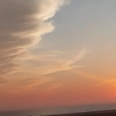 Profile image of 채스터