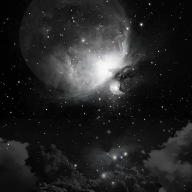 Profile image of 김지후