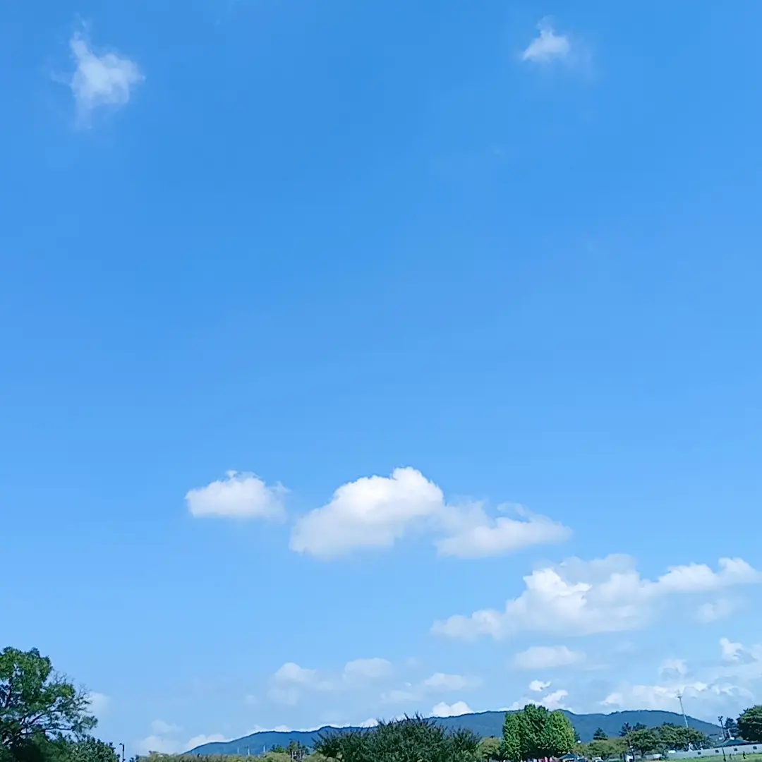 FlushCorn8569의 아이돌 선택게임