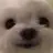 뽀삐