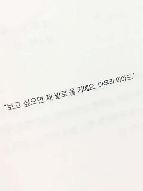 Mouse5959의 미운 정(情)