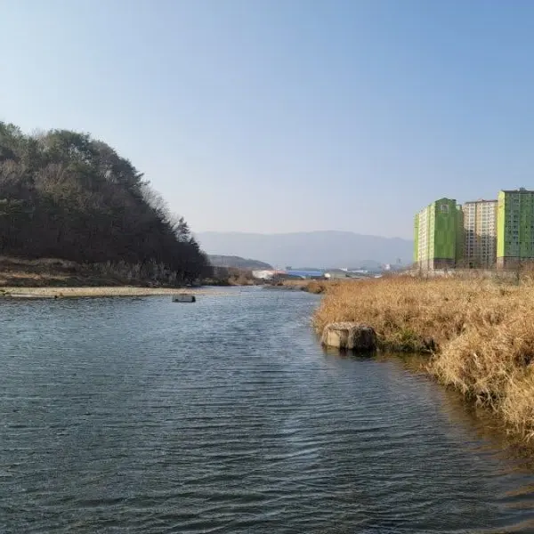 NeatGolf5737의 My Hero Academia